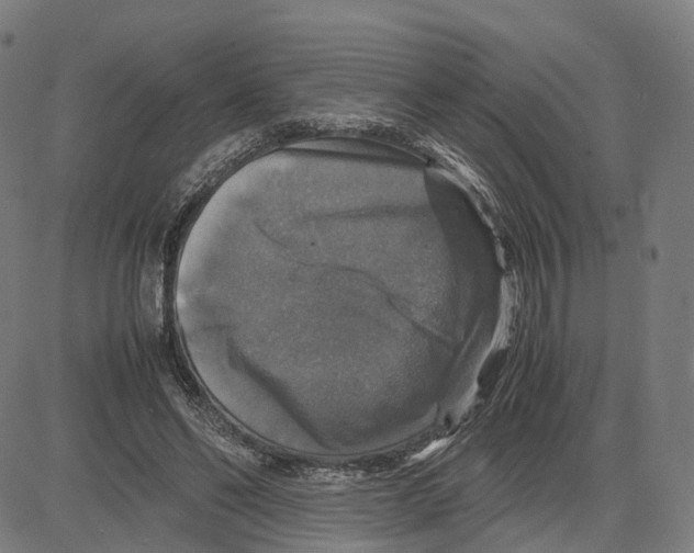 X0000083640494200703121723