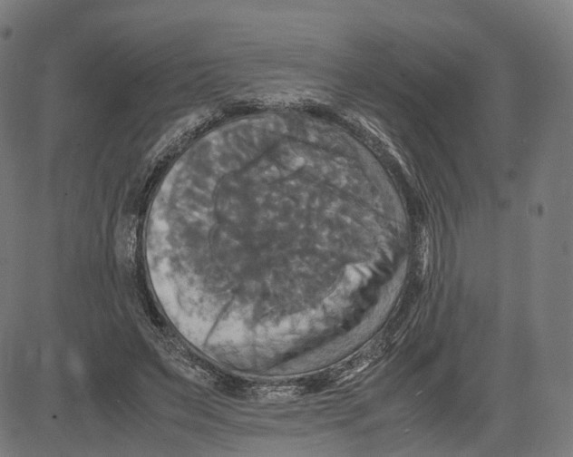 X0000083640495200703121723