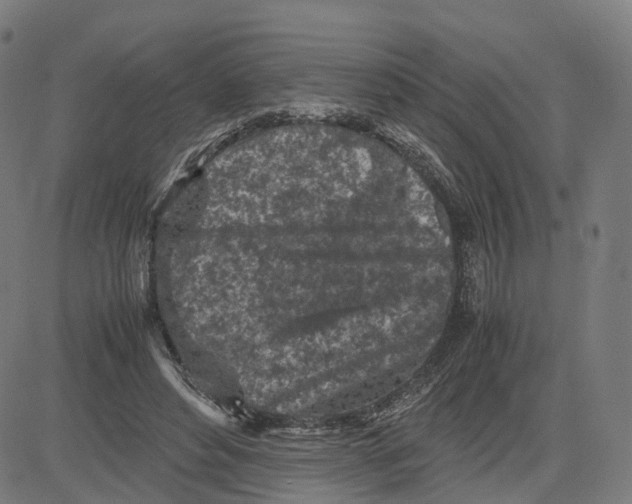 X0000083640496200703121723