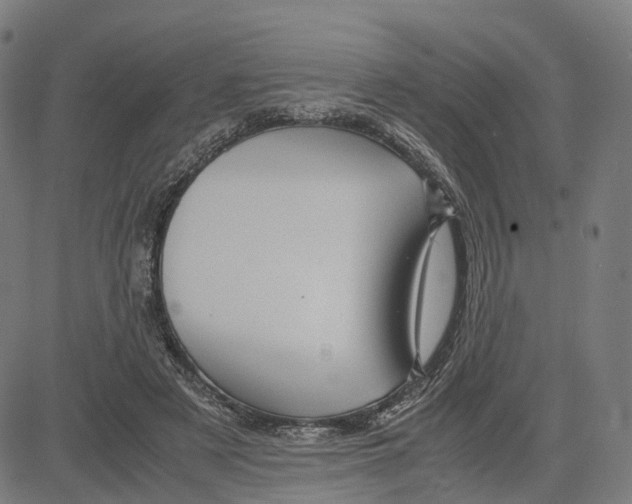 X0000083640497200703121723