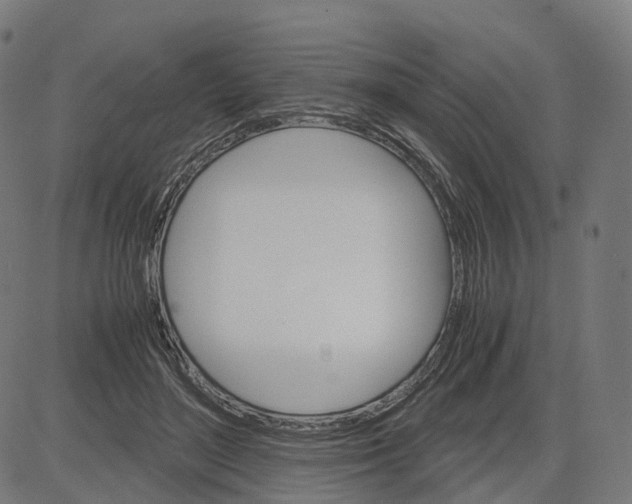 X0000083640500200703121723