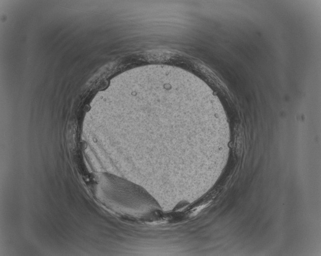 X0000083640501200703121723