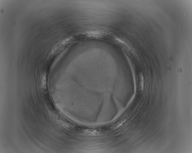 X0000083640502200703121723