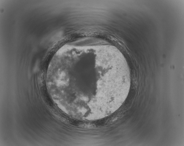 X0000083640503200703121723