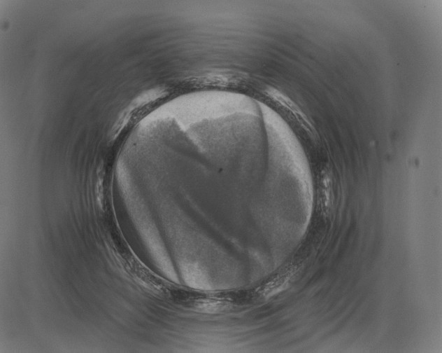 X0000083640504200703121723