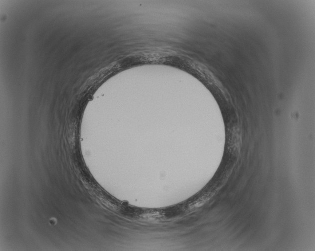 X0000083640505200703121723