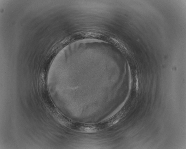 X0000083640506200703121723