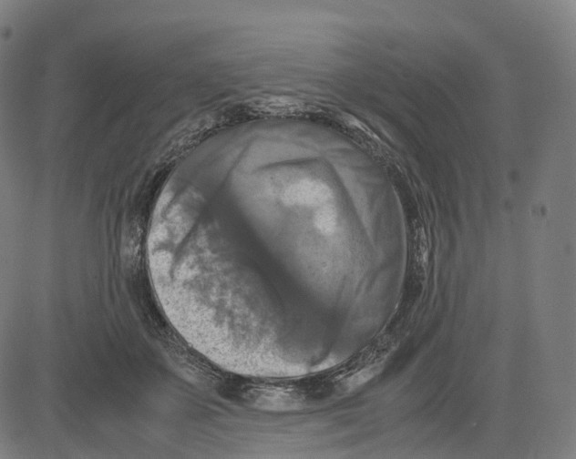 X0000083640507200703121723