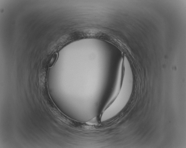 X0000083640509200703121723