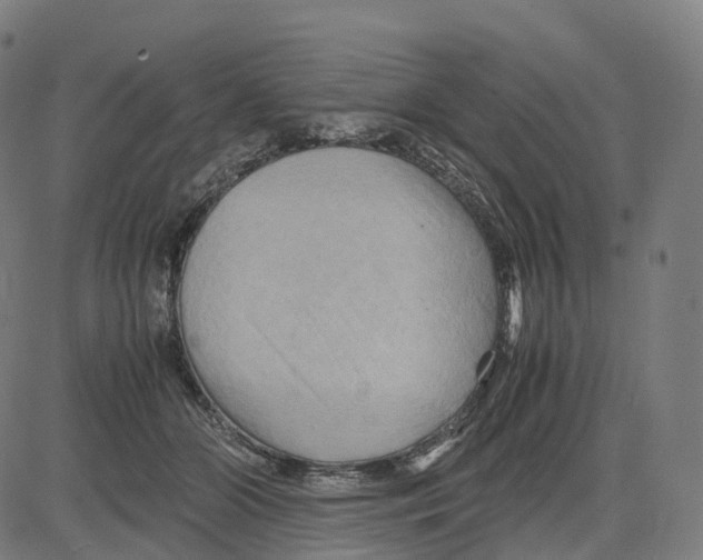 X0000083640510200703121723