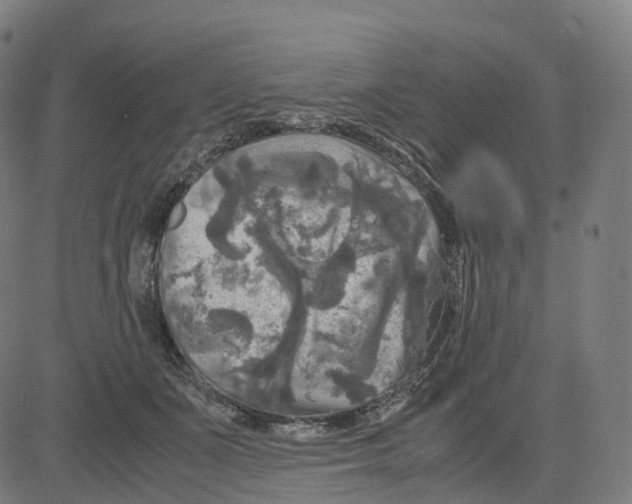 X0000083640511200703121723