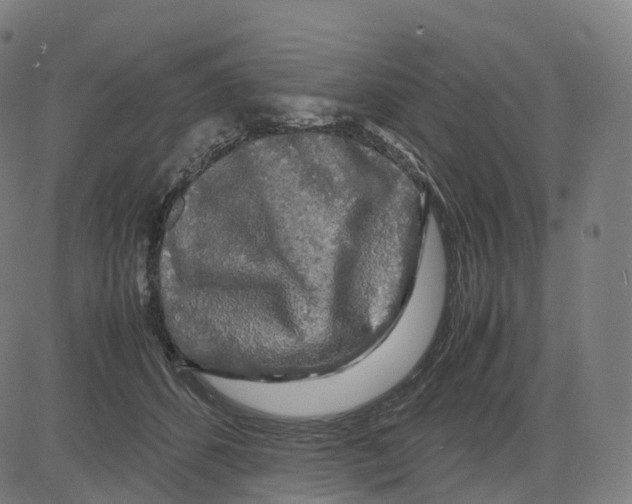 X0000083640512200703121723