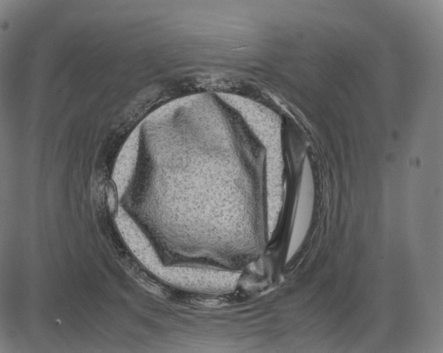 X0000083640513200703121723