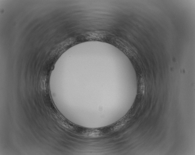 X0000083640514200703121723