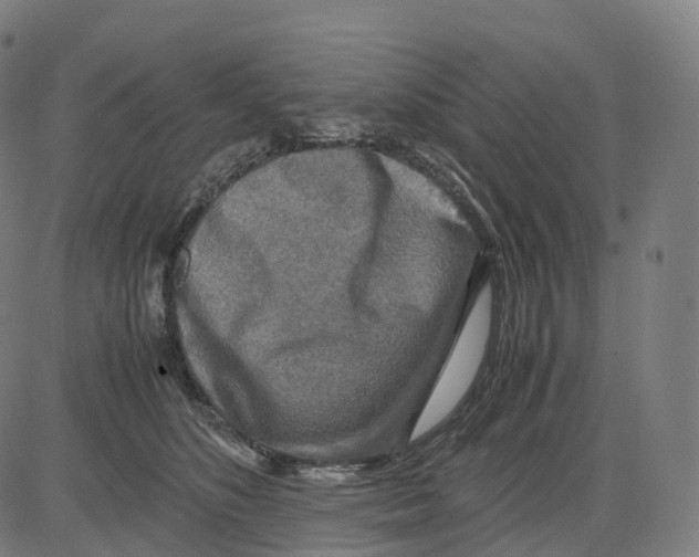 X0000083640516200703121723