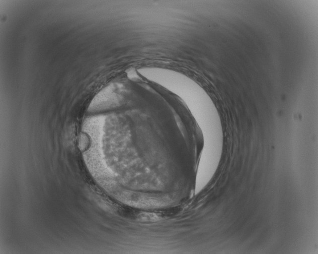 X0000083640519200703121723