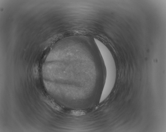 X0000083640520200703121723