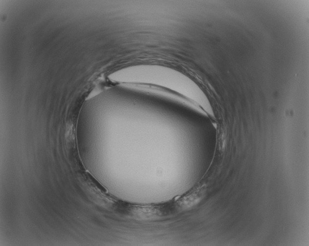 X0000083640521200703121723