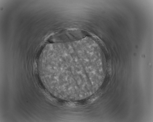 X0000083640523200703121723