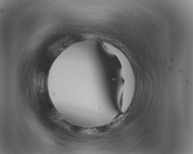 X0000083640525200703121723