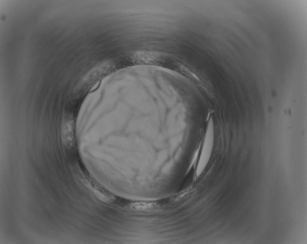 X0000083640526200703121723