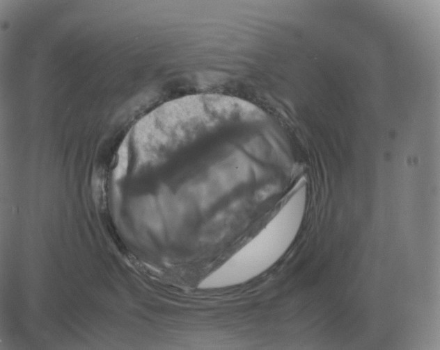 X0000083640527200703121723