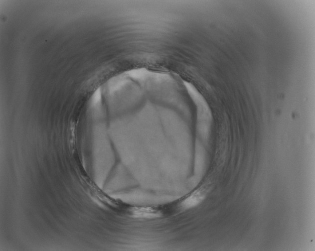 X0000083640528200703121723