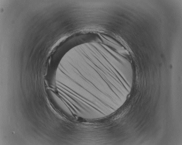 X0000083640530200703121722