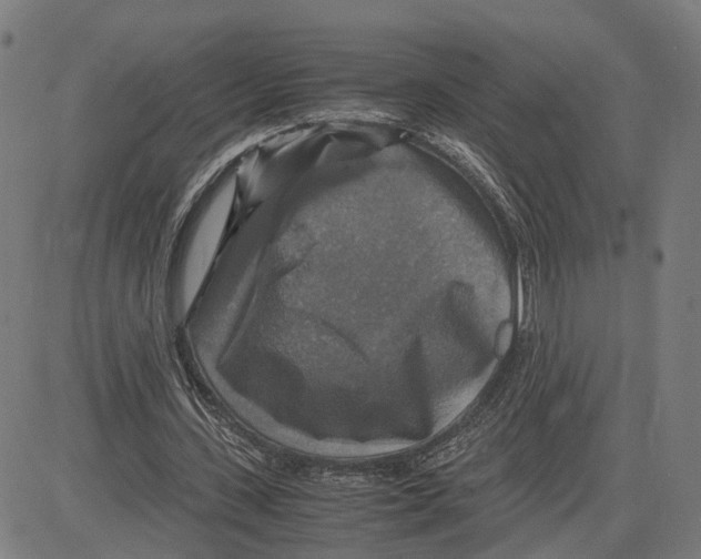 X0000083640531200703121722