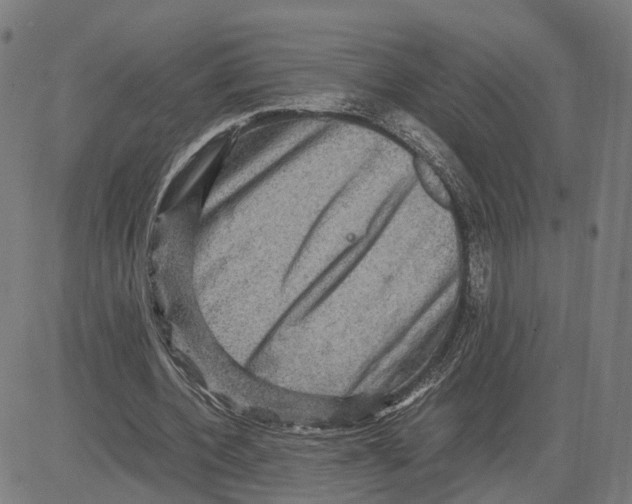 X0000083640532200703121722