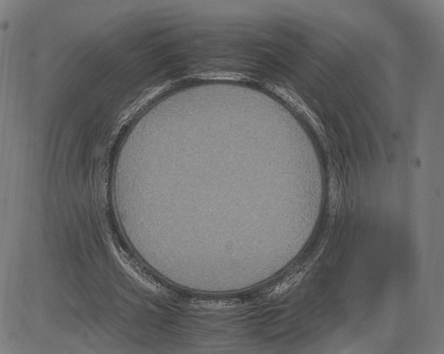 X0000083640533200703121722