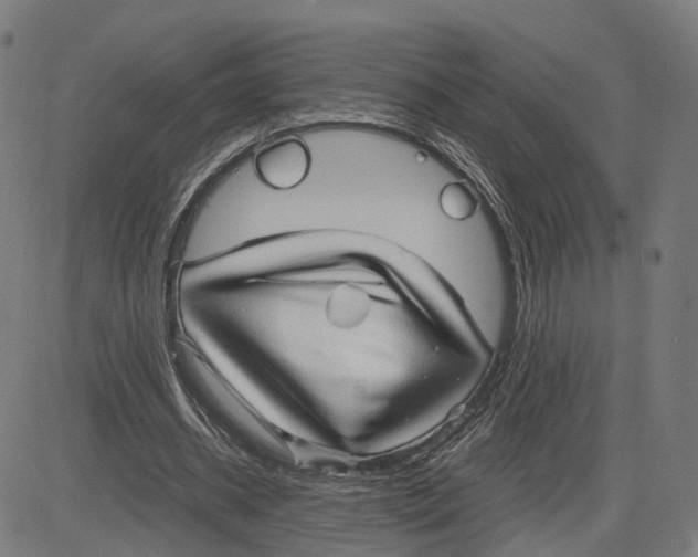 X0000083640534200703121722