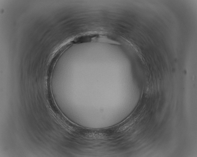 X0000083640535200703121722