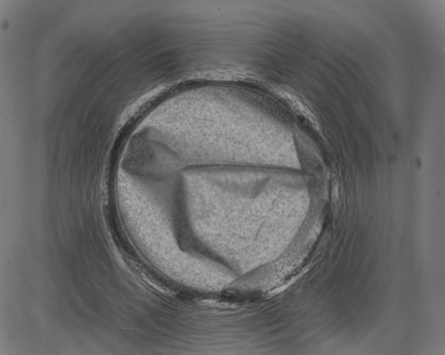 X0000083640536200703121722