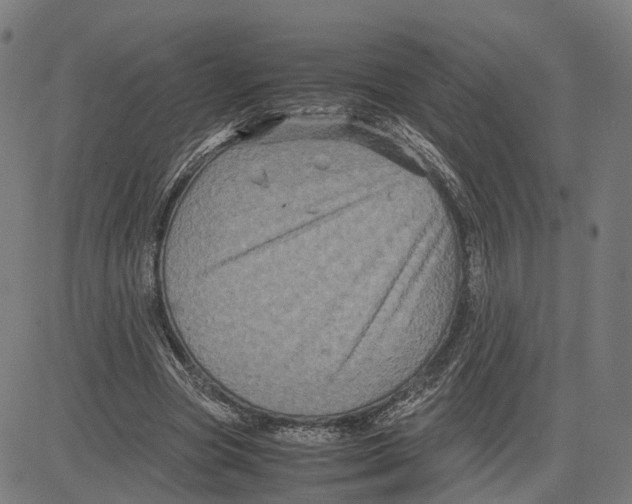 X0000083640537200703121722