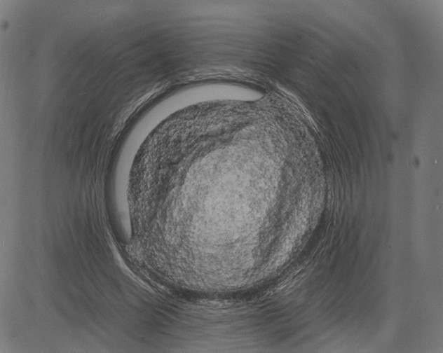 X0000083640538200703121722