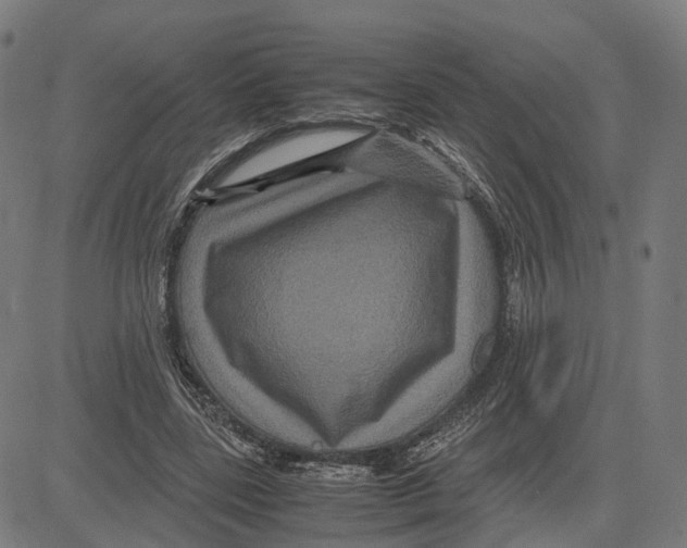 X0000083640539200703121722