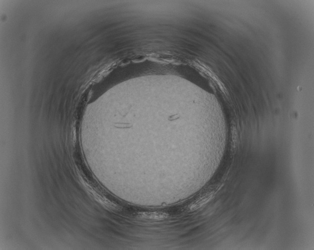 X0000083640541200703121722