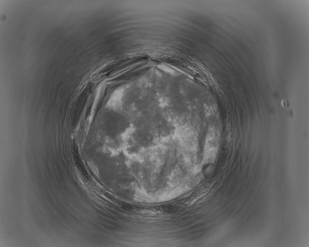 X0000083640542200703121722