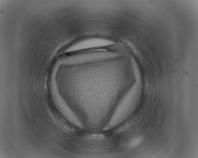 X0000083640543200703121722