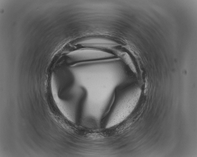 X0000083640544200703121722