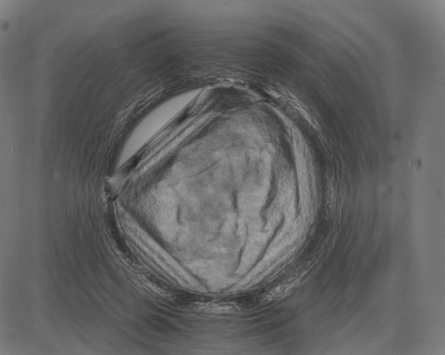 X0000083640545200703121722