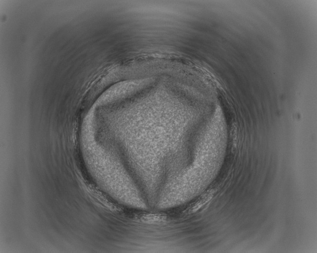 X0000083640546200703121722