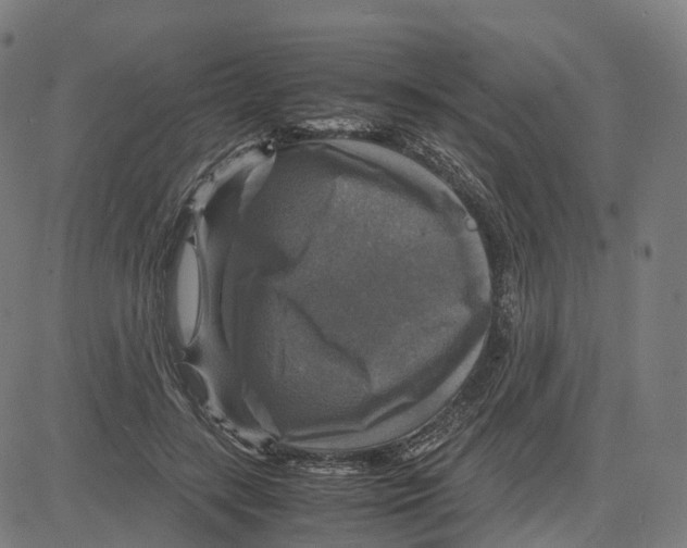 X0000083640547200703121722