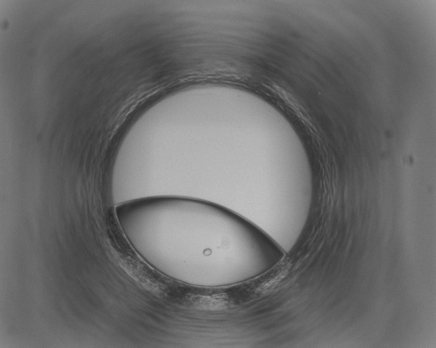 X0000083640548200703121722