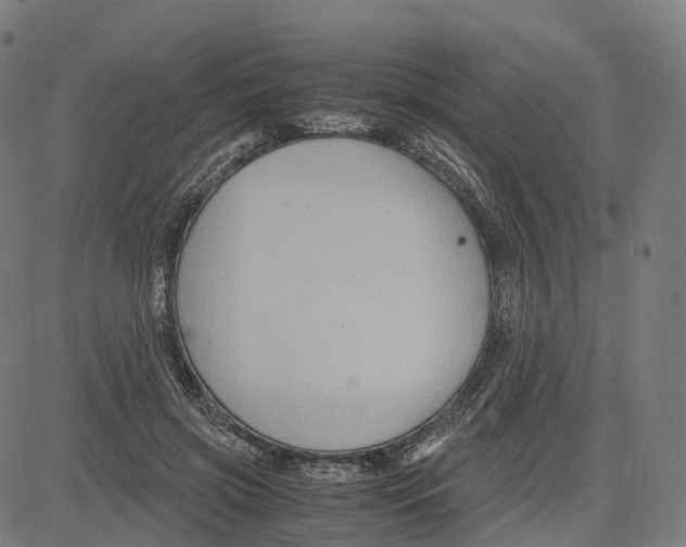 X0000083640549200703121722