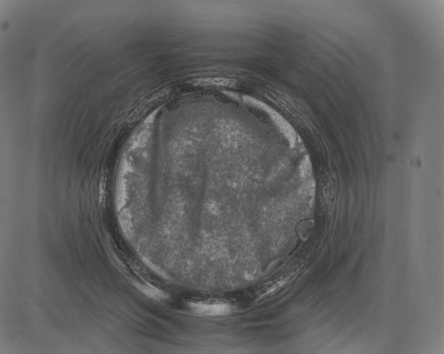 X0000083640551200703121722