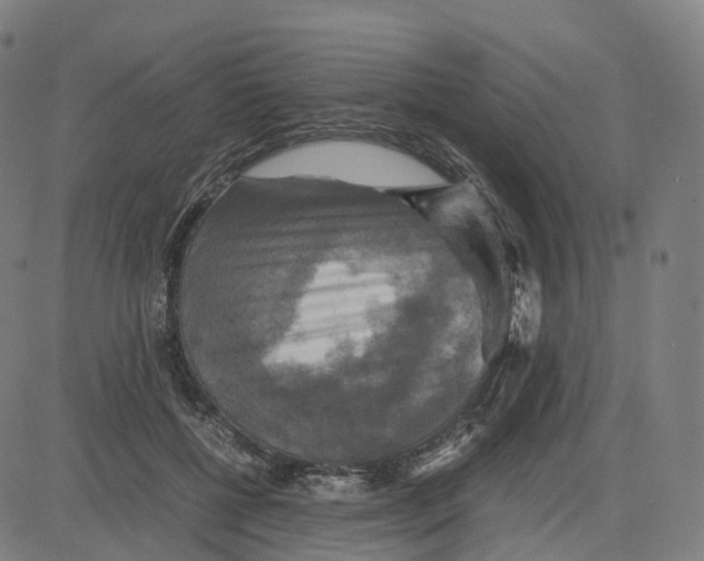 X0000083640552200703121722