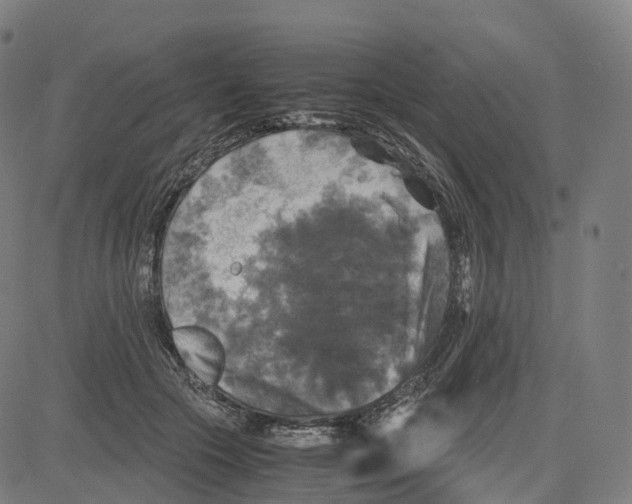 X0000083640553200703121722