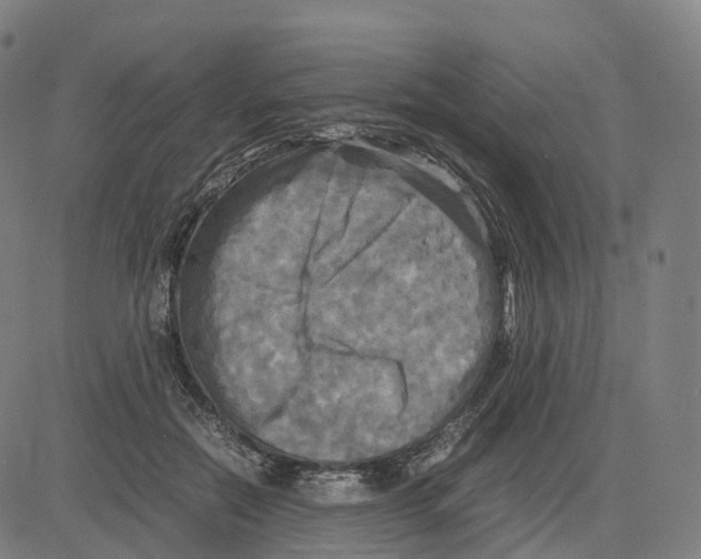 X0000083640554200703121722